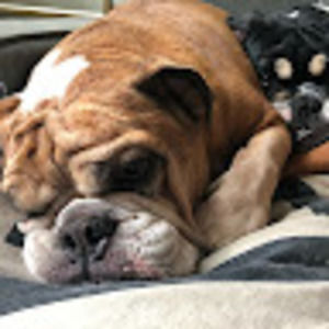 Meet your Posher, Wesley